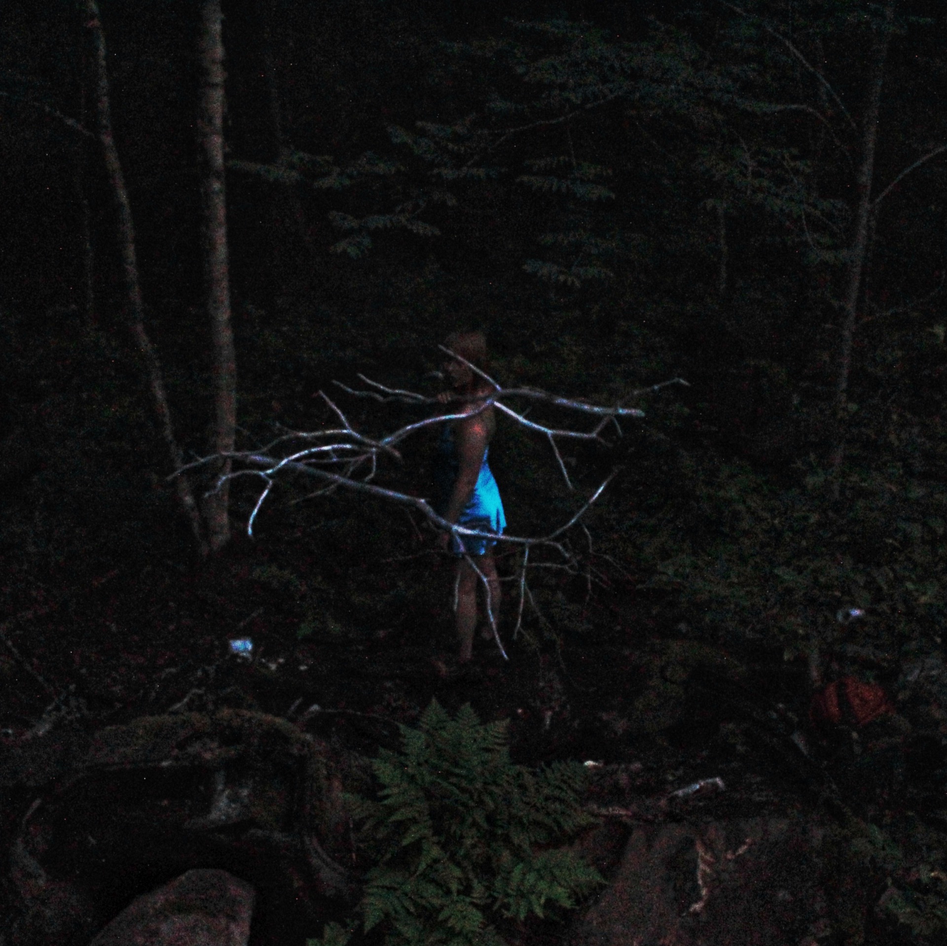 Photo: Vellamo Ikonen